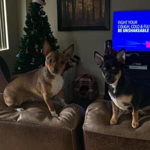 Meet your Posher, Terry-lynn